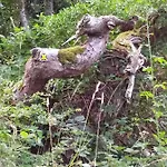 公寓 La Maison D'oree *