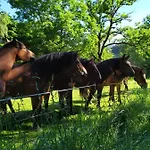La Maison D'oree 公寓 Polignac (Haute-Loire)