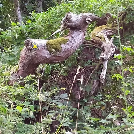 アパート La Maison D'oree *