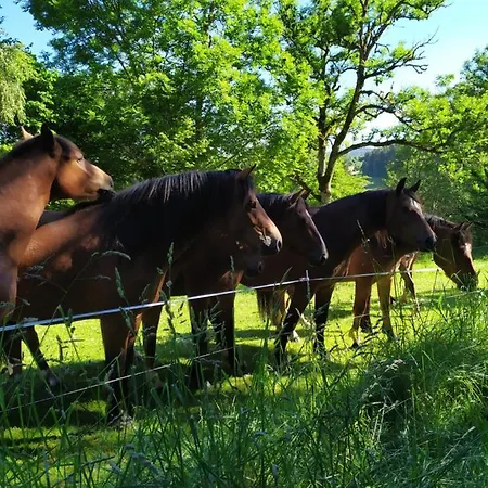 La Maison D'oree アパート Polignac