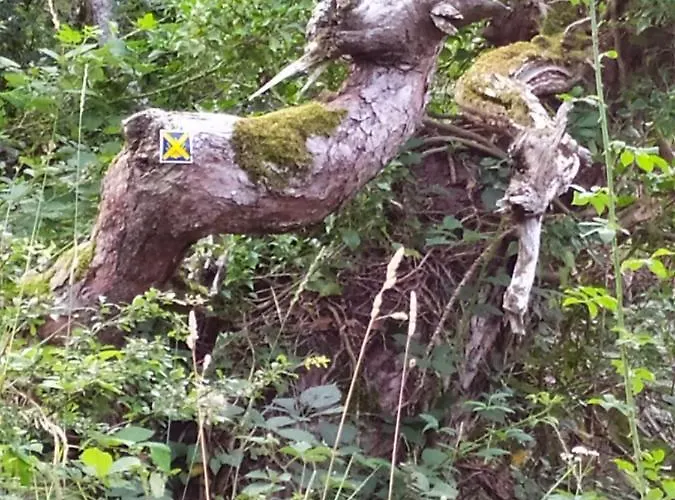 Апартаменты La Maison D'oree *