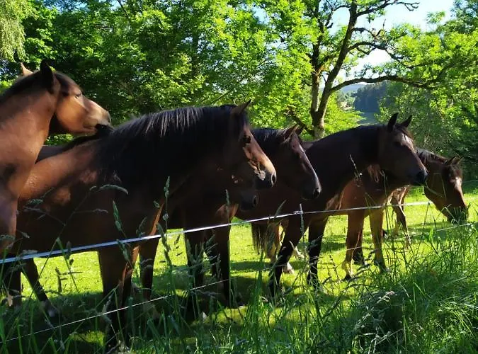 La Maison D'oree Апартаменты Polignac (Haute-Loire)